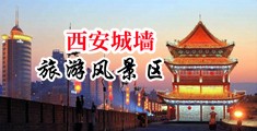 东北老骚屄中国陕西-西安城墙旅游风景区